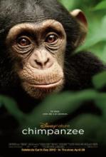 Chimpanzee (2012) Chimpanzee (2012)