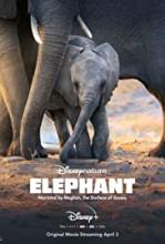 Elephant Movie Poster