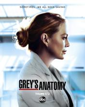 Grey'sAnatomyS17